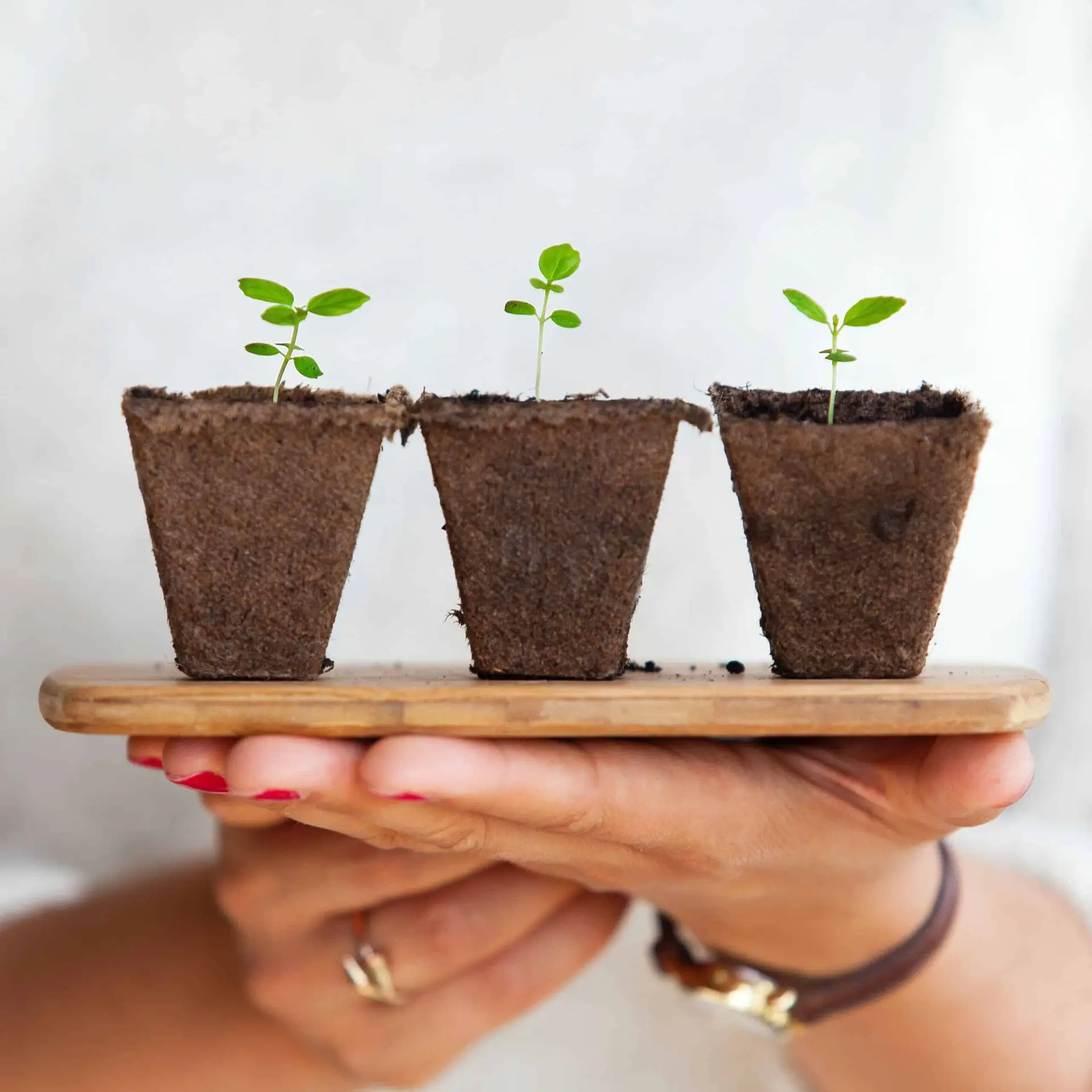 Sustainability-pic
