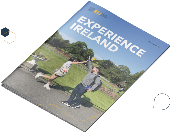 Experience Ireland Program