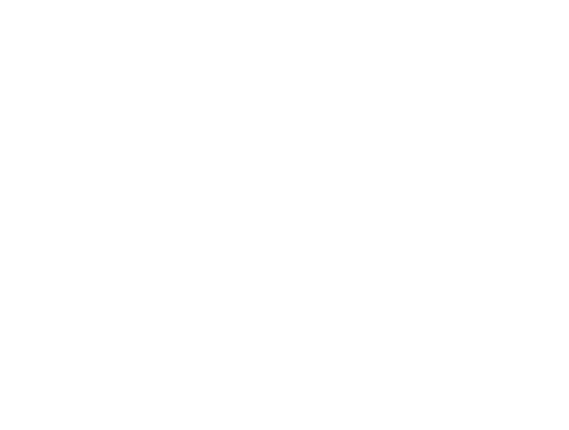 Work and Study Travel